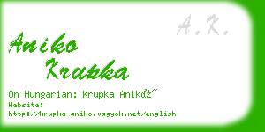 aniko krupka business card